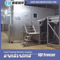 High Quality IQF Individual Quick Freezing Machine With Compressor For Ultra Low Temperature Freezer